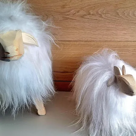 App D'exception 8pers, 66 M2, Plein Sud, Confort, Sauna, Au Calme, Renovation 2024